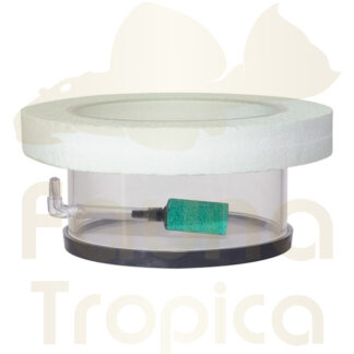 Floating breeding ring with air stone 100mm