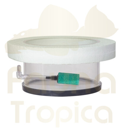 Floating breeding ring with air stone 100mm